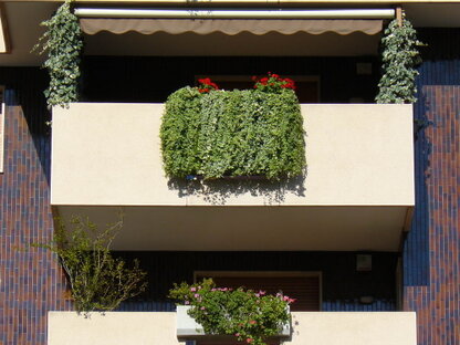 Parapetti design #31