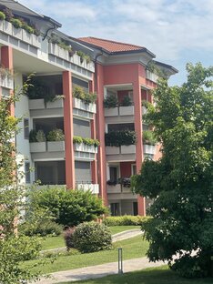 Parapetti #54
