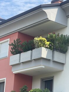 Parapetti #55