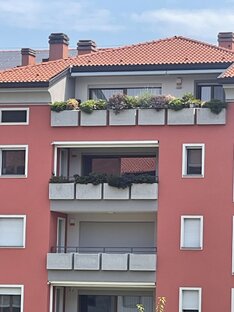 Parapetti #52