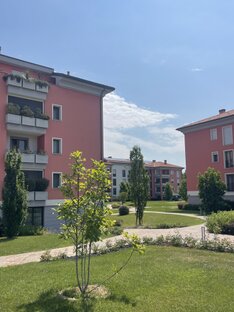 Parapetti #53